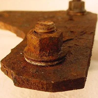 Section image