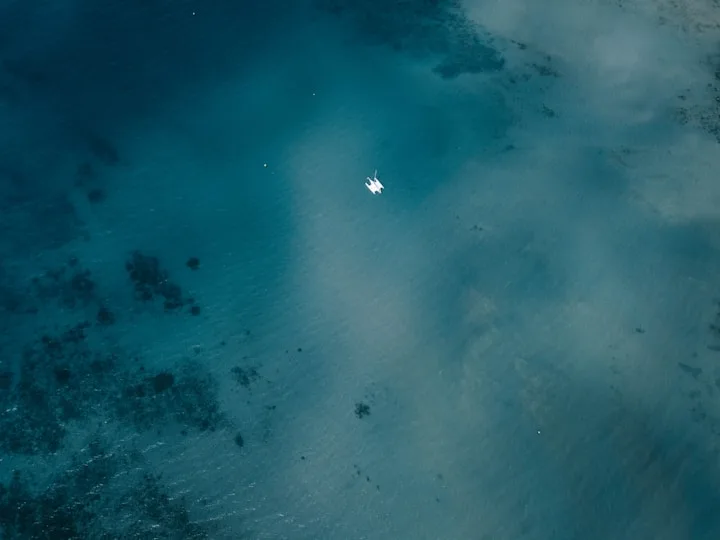 Section image