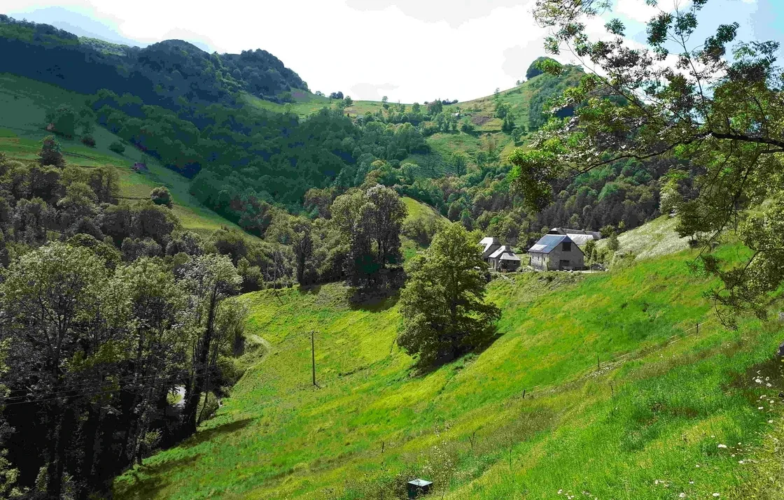 Section image