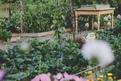 Growing Food Growing Food