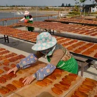 曬烏魚子 曬烏魚子