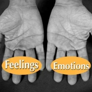 Distinguish between Feelings and Emotions, Possibility Management Distinguish between Feelings and Emotions, Possibility Management