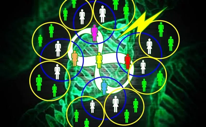 thirteen 3Cells thirteen 3Cells
