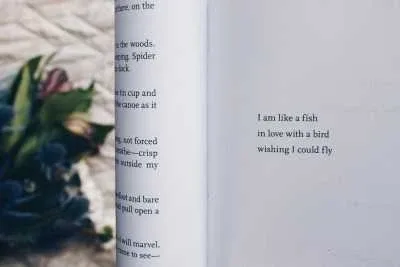 Writing Poems, startover.xyz Writing Poems, startover.xyz