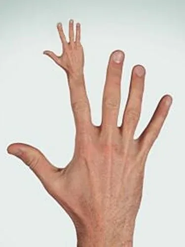 Section image