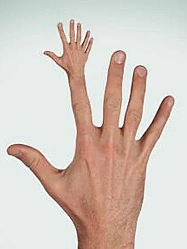 Section image