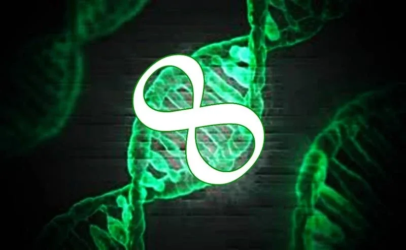 Infinite Gene Infinite Gene