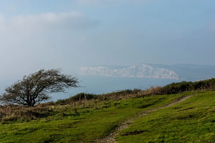 Section image