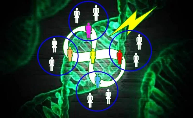 five 3Cells five 3Cells