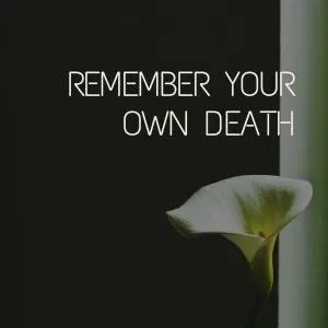 Become Unhookable, Memento Mori, startover.xyz, Possibility Management Become Unhookable, Memento Mori, startover.xyz, Possibility Management