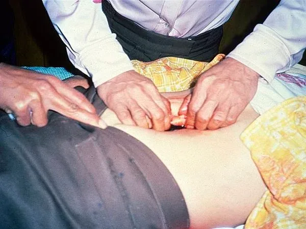 Section image